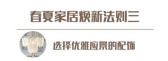下载 (8).jpg