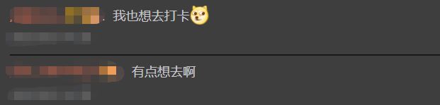 下载 (10).jpg